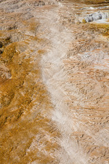 Mammoth hot springs