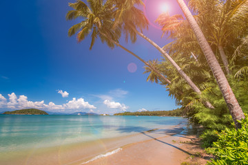 Tropical beach with palms, Thailand