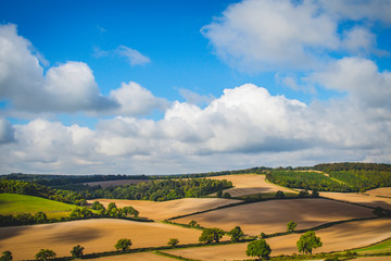 Obraz premium Landscape In United Kingdom