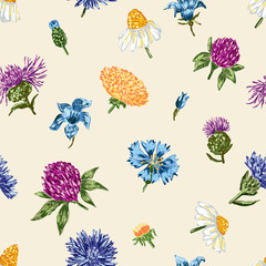 inflorescences of wild flowers