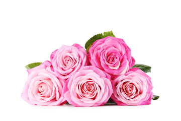 Bouquet of pink roses isolated on a white