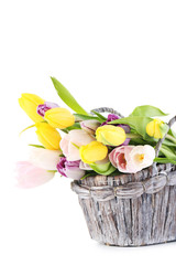 Bouquet of tulips isolated on a white