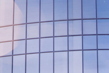 glass windows of the building as a backdrop