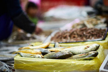Small fish for sale at vegetable market in Shanghai, China