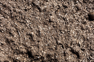 posidonia texture