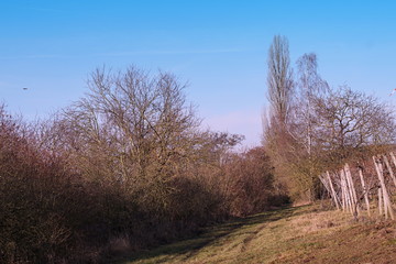 Fototapeta na wymiar Sonnige Landschaft in Mainstockheims Westen