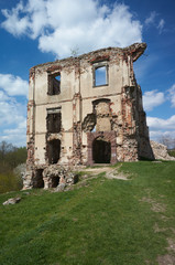 Ruins of old castle