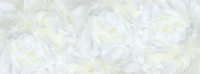 banner pink peonies
