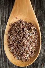 Dried dill seeds spice on rustic background