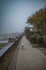 Fototapeta premium Landscape In United Kingdom