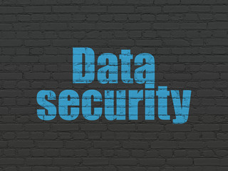 Privacy concept: Data Security on wall background