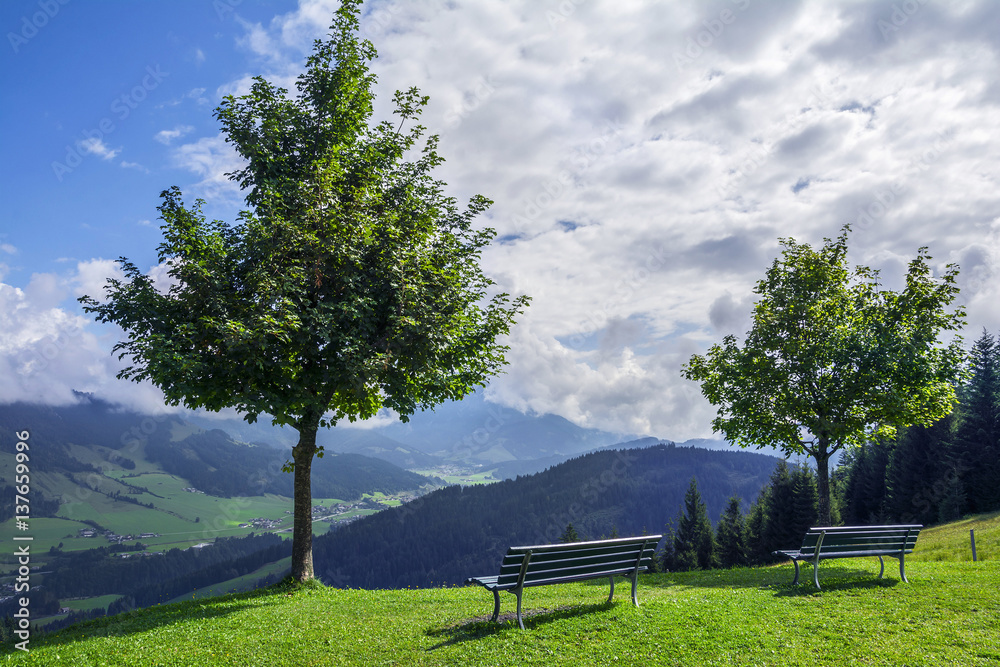 Sticker Trees and benches in Tirol,  Alps mountains