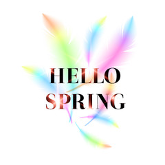 Hello Spring, bright bird feathers on a white background.