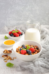 Homemade granola with fresh berries, selective focus, copy space