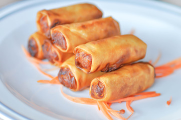 spring roll dish with vegetable