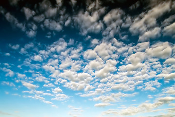 Fototapeta premium Clouds