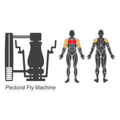 Gym pectoral fly machine