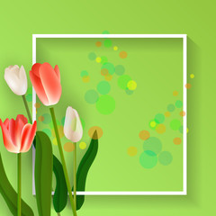 Tulip Flower Frame background