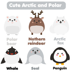 Cute kawaii arctic and polar animals. Children style, isolated design elements, vector. Seal, whale, penguin