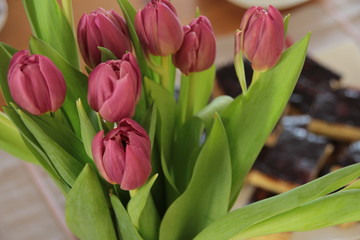 Tulpen auf der Kaffeetafel