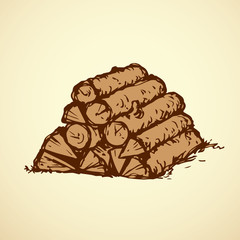 Firewood. Vector drawing