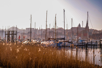 boats lying in harbor behind reed