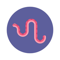 A pink spotted snake