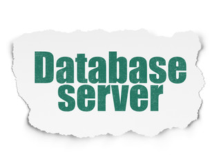 Software concept: Database Server on Torn Paper background
