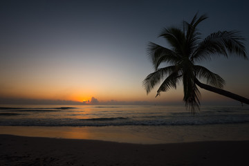 Beautiful sunset over tripical beach with coconut tree palm