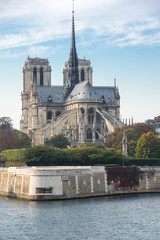 Naklejka premium Notre-Dame de Paris