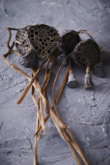 Dried lotus seed 