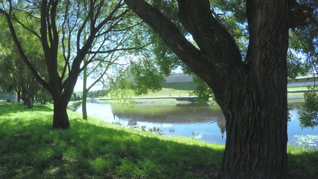 Pskov Kremlin in summer