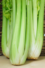 Fresh Celery Twigs