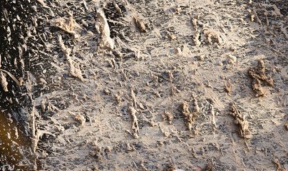 dirt on the glass car