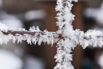 Rusty wire fence covered with frost and hoarfrost with blurred background in the winter