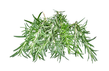 rosemary isolated on white background