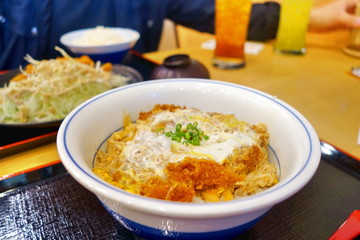 japanese cuisine, Tonkatsu Don Cutlet rice