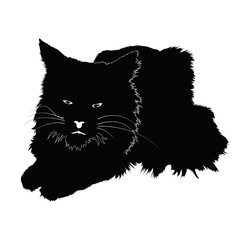 silhouette furry cat, isolated animal shape, vector