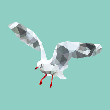 polygonal seagull, geometric polygon bird, isolated vector animal
