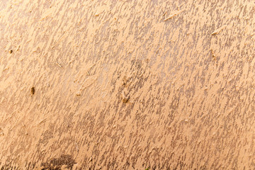 dirt on the glass car