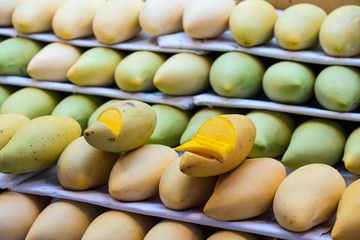 Pile of ripe mangoes in the food market of Thailand.