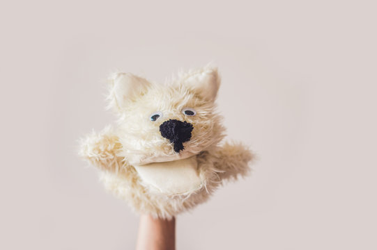 Puppet show dog on a gray background. Space for text or replicas