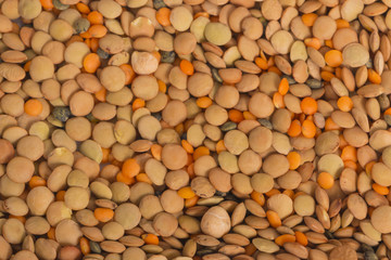 fruits lentils isolated on white background