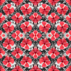 Fototapeta na wymiar Seamless pattern.real flower floral texture background