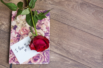 Rose with ribbon and message card  on a book. Valentines Day background