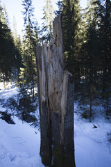 Konar © Rafal Kucharek