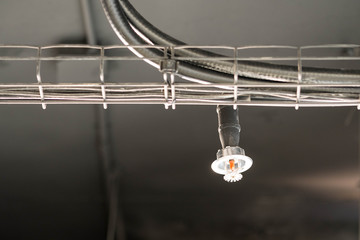 Fire sprinklers put on the black ceiling of modern office.