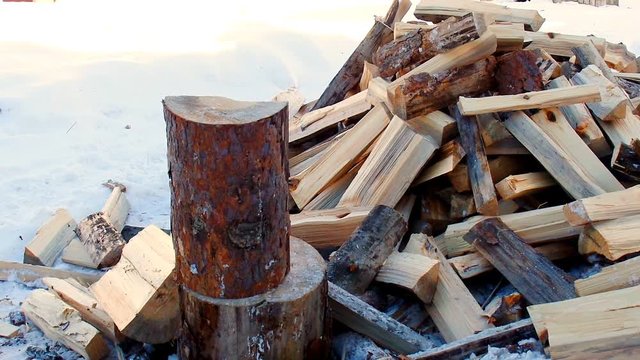 Man chopping wood. Professional and dangerous tree felling