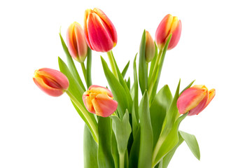 Tulip flowers bouquet for mothers day