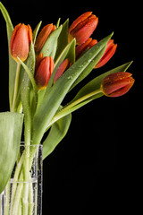 Tulipany na prezent